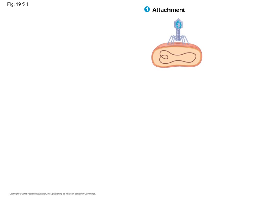 Fig. 19-5-1 Attachment 1